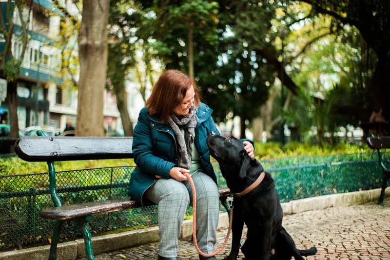Mascotas (visitas/paseos)