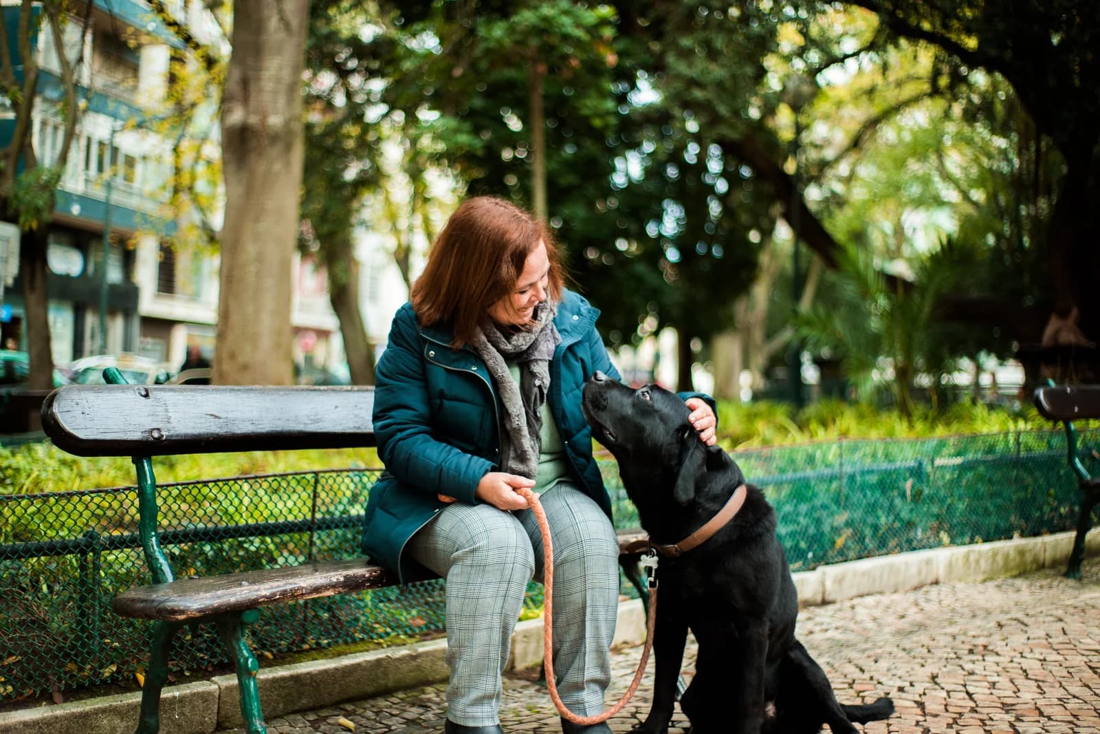 Mascotas (visitas/paseos)